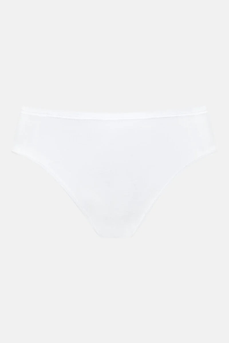 1120039-1 mey American briefs