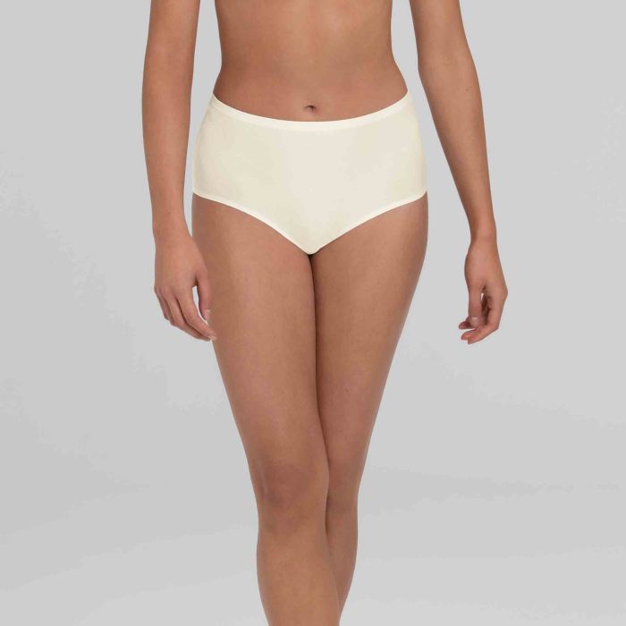 1343-47 Anita ESSENTIAL - High-waist briefs+