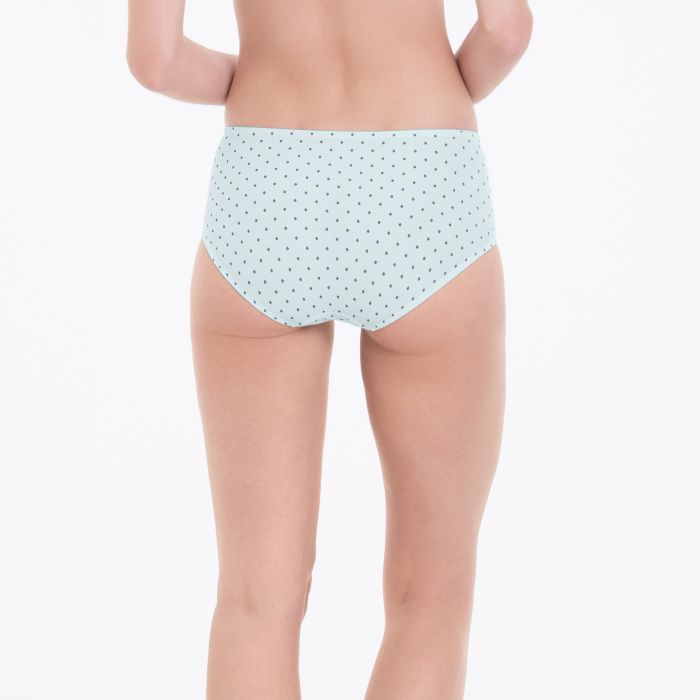 1387-393 Anita BELVEDERE - High-waist briefs+