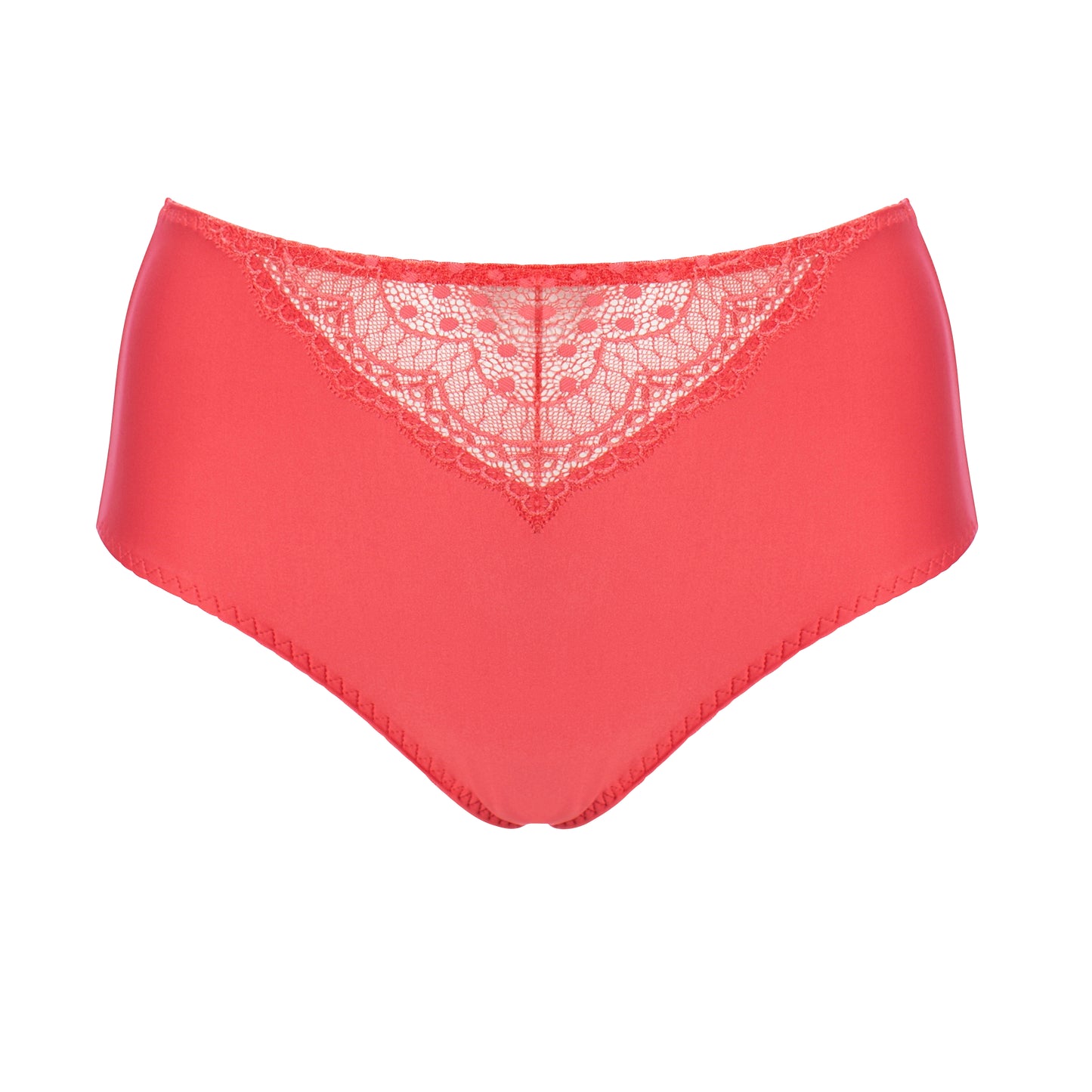 67/10-43 Ulla Dessous Control Briefs