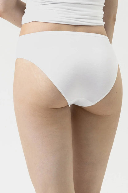 1120039-1 mey American briefs