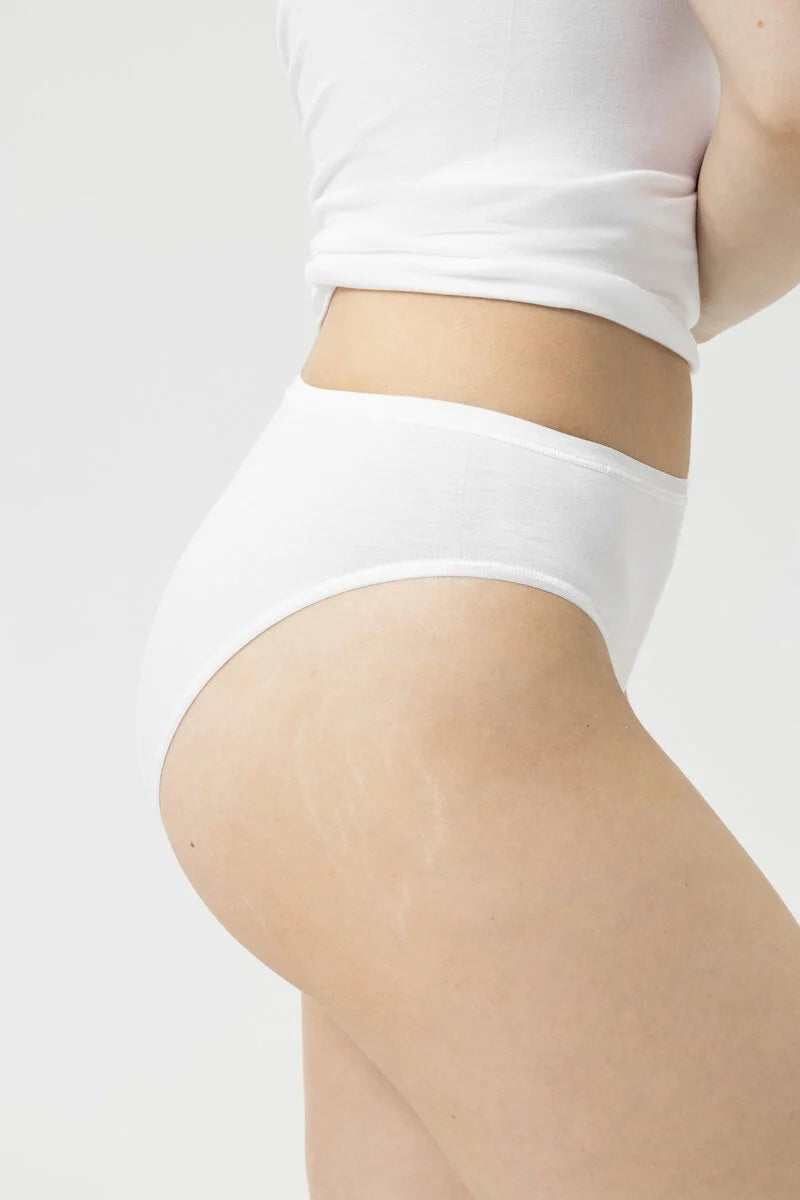 1120039-1 mey American briefs
