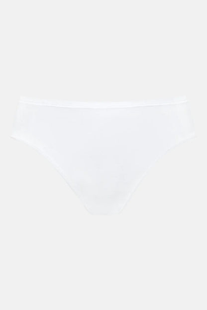 1120039-1 mey American briefs