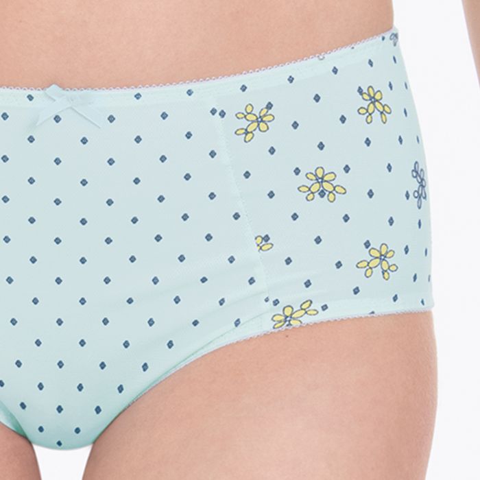 1387-393 Anita BELVEDERE - High-waist briefs+