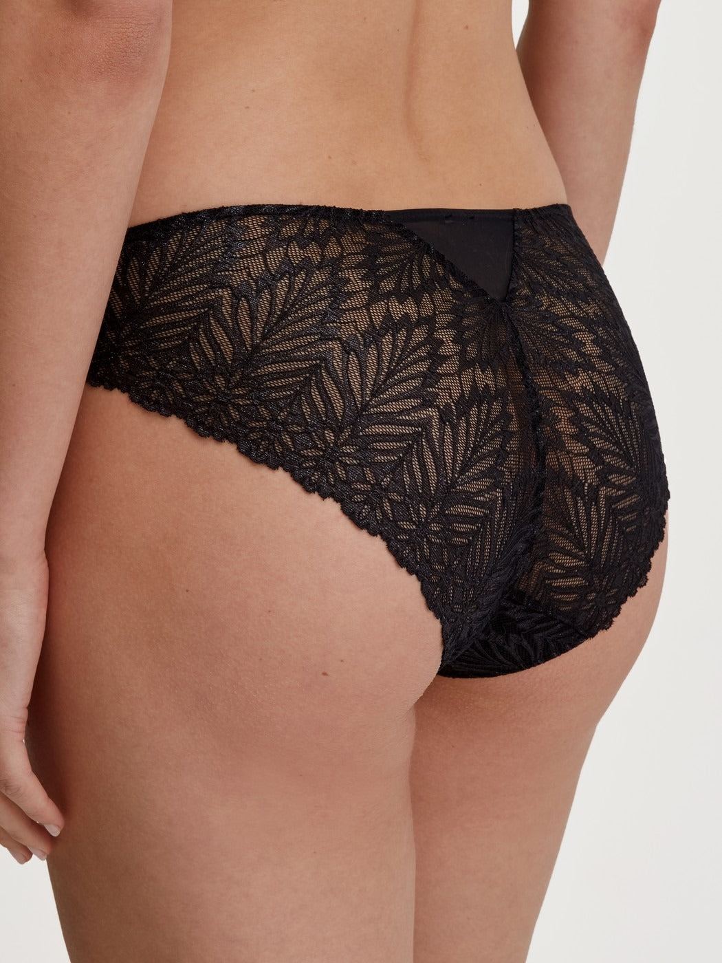 Seduction Lace Brief