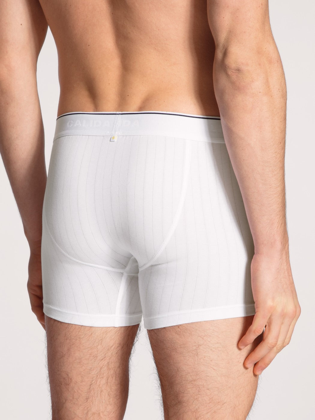 26986-1 Calida Pure & Style Boxer brief