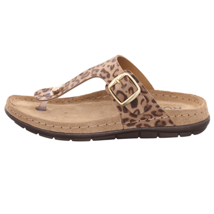 Rohde Slipper