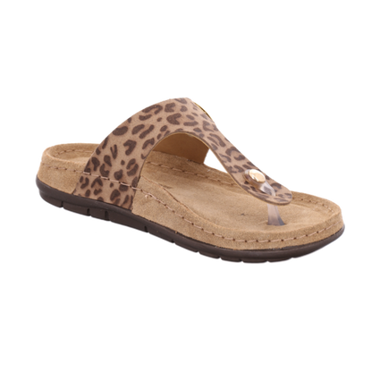 Rohde Slipper